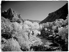 Zion View Infrared in Zion National Park, UT  Dave Hickey